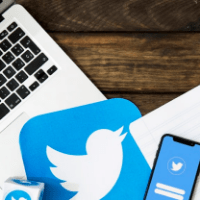 Imagem do curso Twitter Marketing seu guia de treinamento especial
