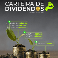 Imagem do curso Monte sua carteira com foco em dividendos com melhores Ações e Fiis do cenário atual.