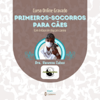 Imagem do curso Curso Online de Primeiros-socorros para cães