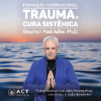 Imagem do produto CURSO ONLINE - Formação Internacional Trauma e Cura Sistêmica - Módulo I