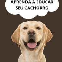 Imagem do curso Aprenda A Educar Seu Cachorro