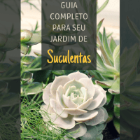 Imagem do produto Guia Completo Para Seu Jardim de Suculentas