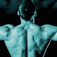 Imagem do produto Métodos avançados de treinamento para hipertrofia