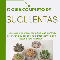 Imagem do curso Ebook Suculentas - Saiba como criar