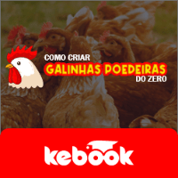 Imagem do produto Curso como criar galinhas poedeiras do zero por Edeilton Rodrigues