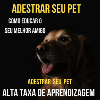 Imagem do curso Adestramento de Pet.