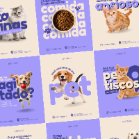 Imagem do curso Pack Canva Petshop Minimalista