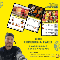 Imagem do produto Como Saborizar Kombuchas Fácil e Descomplicado