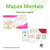 Imagem do curso Mapas Mentais- Fisiologia Vegetal