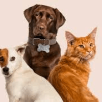 Imagem do produto Cuide do seu animal/pet de estimação