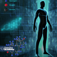 Imagem do produto Cursos EAD - Anatomia e Doenças Associadas + Curso Fisiologia Geral e Oncologia - 640 horas de Certificação [50% OFF]