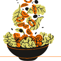 Imagem do curso Receitas pra secar em 15 dias