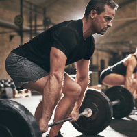 Imagem do curso Hipertrofia muscular: tudo o que você precisa saber para obtê-la