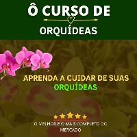Imagem do produto Ô CURSO DE ORQUÍDEAS
