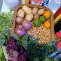 Imagem do curso Alimentos Quânticos e saúde física e mental, 4 e-books - Cópia