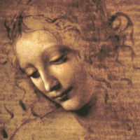 Imagem do curso Animus e Anima