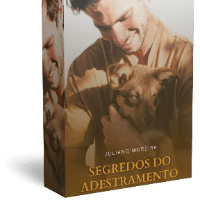 Imagem do curso Método de Entrenamiento Eficiente