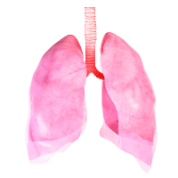 Imagem do produto Curso de aperfeiçoamento em PNEUMOLOGIA - BASES CLÍNICAS E TRATAMENTOS - 440 horas de certificação - DURAÇÃO: 5 MESES
