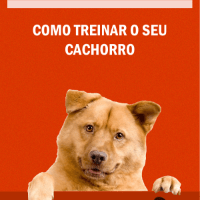 Imagem do curso Como Treinar seu Cachorro