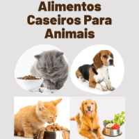 Imagem do produto Alimentação Caseira para Cães