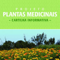 Imagem do curso Cartilha Plantas Medicinais.