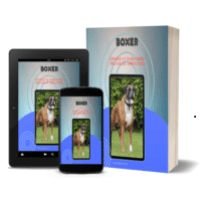 Imagem do produto BOXER - CONHEÇA E SAIBA COMO TRATAR SEU AMIGUINHO