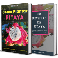 Imagem do produto Como Plantar Pitaya + Bônus