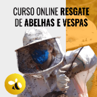 Imagem do curso Curso Resgate Abelhas e Vespas