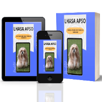 Imagem do produto LHASA APSO - CONHEÇA E SAIBA COMO TRATAR SEU AMIGUINHO