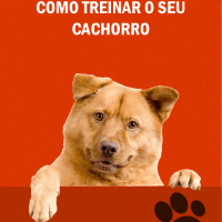 Imagem do produto Como treinar o seu cachorro