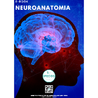 Imagem do curso E-Book NEUROANATOMIA