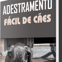 Imagem do produto Adestramento fácil de cães