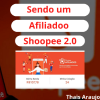 Imagem do produto Sendo um Afiliado de Sucesso SP 2.0