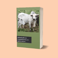 Imagem do produto INTRODUÇÃO AO INVESTIMENTO EM GADO NELORE.