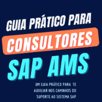 Imagem do curso Guia Prático para Consultores SAP AMS