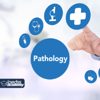 Imagem do produto Curso EAD - Patologia Clínica e Diagnósticos - Certificado 360 horas