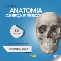 Imagem do produto Curso Anatomia de Cabeça e Pescoço