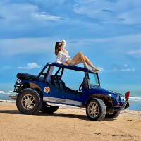 Imagem do curso Passeios de buggy em Jericoacoara