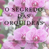 Imagem do produto O segredo das orquídeas