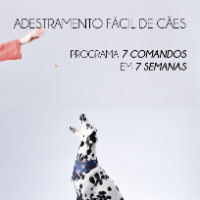 Imagem do produto PROGARAMA 7 COMANDOS EM 7 SEMANAS - ADESTRAMENTO FÁCIL DE CÃES