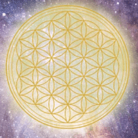 Imagem do curso Mandala Flor da Vida - Tarot