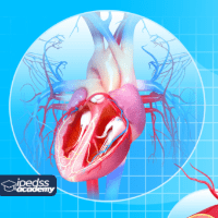Imagem do curso Curso EAD - Doenças Cardiovasculares - Certificado 120 horas incluso [Reconhecido pelo MEC]
