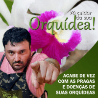 Imagem do produto Vá cuidar da sua orquídea!