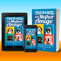 Imagem do produto Treinando Seu Melhor Amigo.