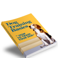 Imagem do curso Treinamento basico de caes