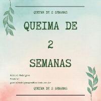 Imagem do curso Queima de 2 Semanas