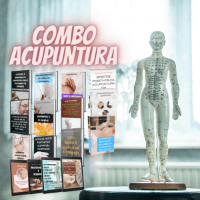 Imagem do curso Combo Acupuntura