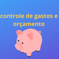Imagem do produto controle de gastos e orçamento