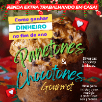 Imagem do produto Lucrando com Panetones e Chocotones Gourmet