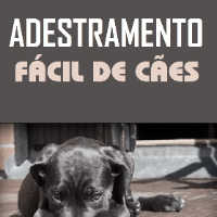 Imagem do produto Adestramento Fácil de Cães
